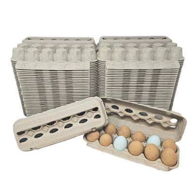 Nest Box Queen Vented Egg Cartons, 72-Pack