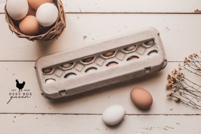 Image showing  Vented Egg Cartons, 72-Pack