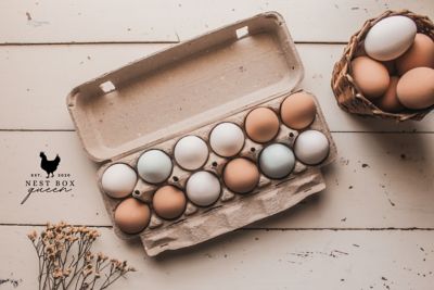 Image showing  Vented Egg Cartons, 72-Pack