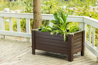 New Age Pet 36 in. Rectangular Planter, Walnut