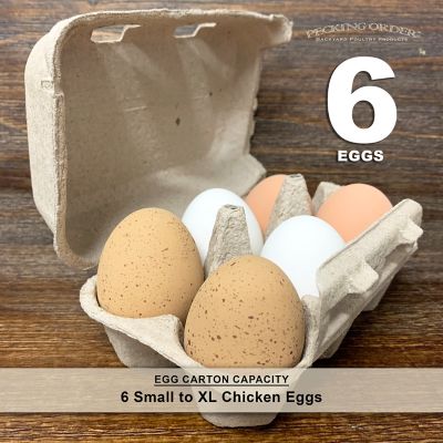 Image showing  6-Egg Paper Egg Cartons, 24 pk.