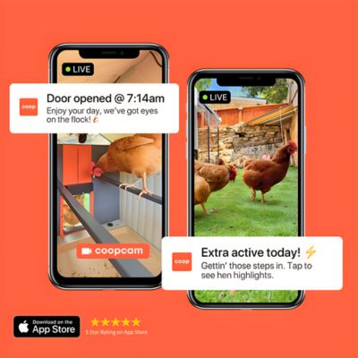 Image showing 6 th Coop The Smart Chicken Coop and Steel Run, 6 Chicken Capacity
