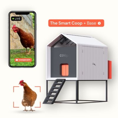 Coop The Smart Coop on Elevated Base