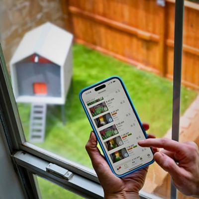 Image showing  The Smart Chicken Coop on Elevated Base, 6 Chicken Capacity