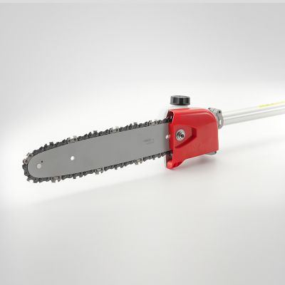 Image showing 8 th PRORUN 10 in. 60V Multi Cutter Pole Saw Attachment