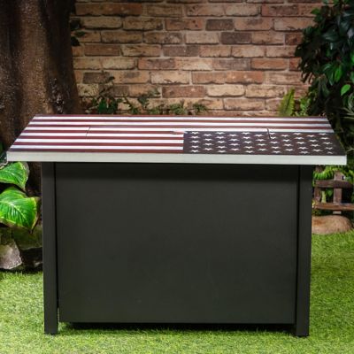 Image showing  40 in. Rectangular Outdoor Commemorative Propane Gas Fire Table