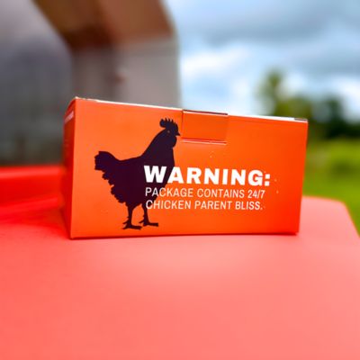 Image showing  Smart Chicken Coop Kit with Two AI CoopCams and Smart Door