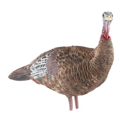 Avian X LCD Lookout Turkey Decoy