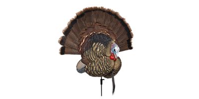 Avian-X LCD Squatting Laydown Hen Turkey Decoy (AVI-8011) - Collapsible With Carry Bag