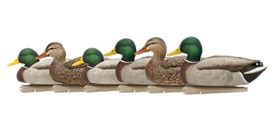 Avian X Top Flight Open Water Mallards