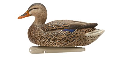 Image showing  Top Flight Open Water Mallards