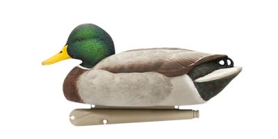 Image showing  Top Flight Open Water Mallards