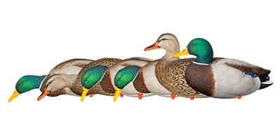 Avian X Top Flight Full Body Mallards