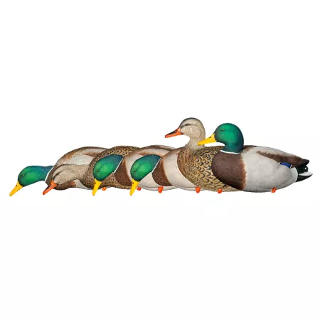 Avian X Top Flight Mallards Full Body Duck & Goose Decoys