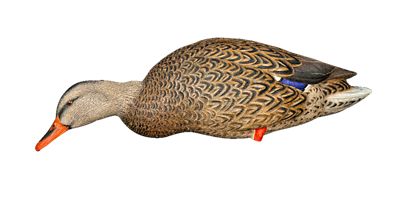 Image showing  Top Flight Full Body Mallards