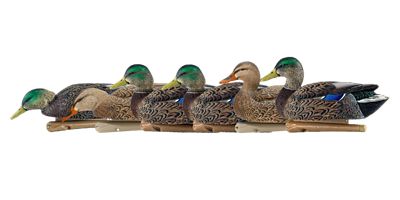 Avian X Top Flight Early Season Mallards