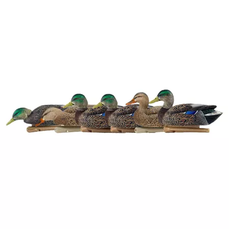 Avian X Top Flight Early Season Mallards Duck & Goose Decoys