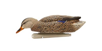 Image showing  Top Flight Early Season Mallards