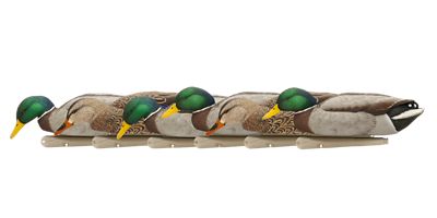 Avian X Top Flight Back Water Mallards