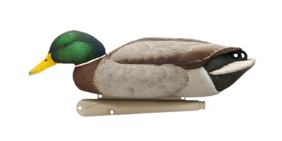 Image showing  Top Flight Back Water Mallards