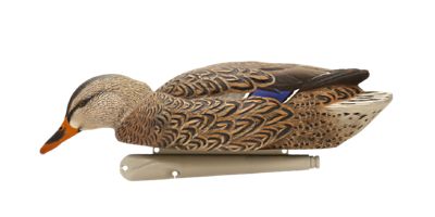 Image showing  Top Flight Back Water Mallards