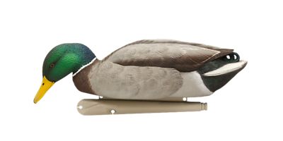 Image showing  Top Flight Back Water Mallards