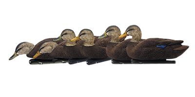 Avian X Top Flight Flocked Black Ducks