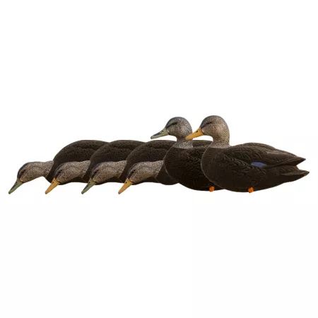 Avian X Top Flight Complete Black Ducks Duck & Goose Decoys