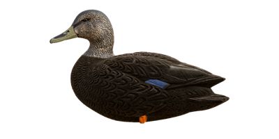 Image showing  Top Flight Full Body Black Ducks