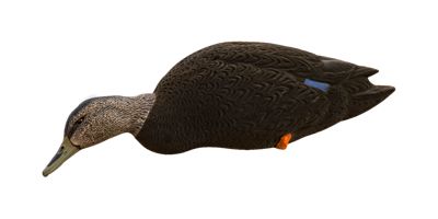 Image showing  Top Flight Full Body Black Ducks