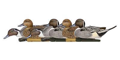 Avian X Top Flight Pintails