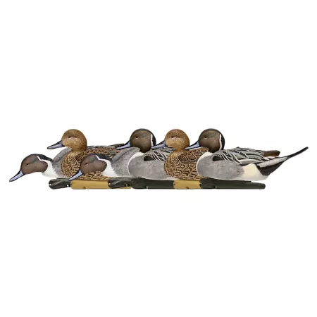 Avian X Top Flight Pintail Ducks Duck & Goose Decoys