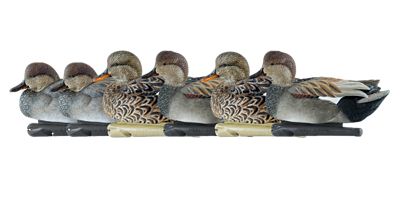 Avian X Top Flight Gadwalls