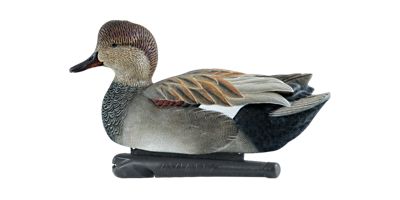 Image showing  Top Flight Gadwalls