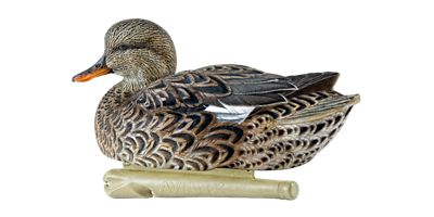 Image showing  Top Flight Gadwalls
