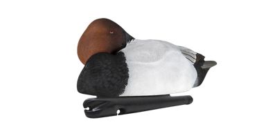 Image showing  Top Flight Canvasbacks