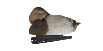 Image showing  Top Flight Canvasbacks