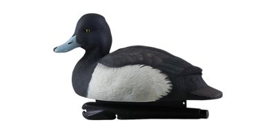 Image showing  Top Flight Bluebills