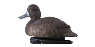 Image showing  Top Flight Bluebills