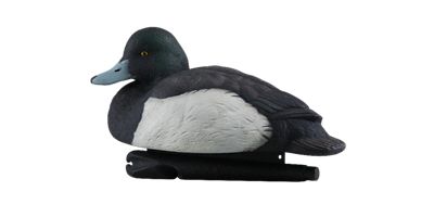 Image showing  Top Flight Bluebills