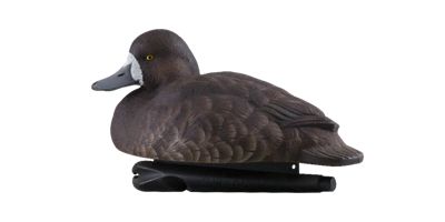 Image showing  Top Flight Bluebills