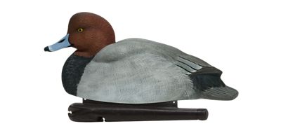 Image showing  Top Flight Red Heads