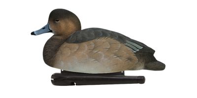 Image showing  Top Flight Red Heads