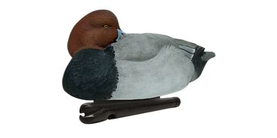 Image showing  Top Flight Red Heads