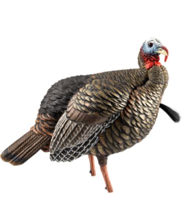 Avian X HDR Jake Turkey Decoy