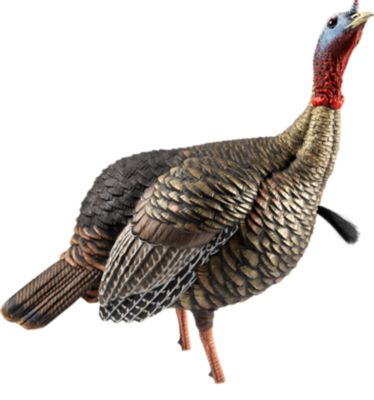 Image showing  HDR Jake Turkey Decoy