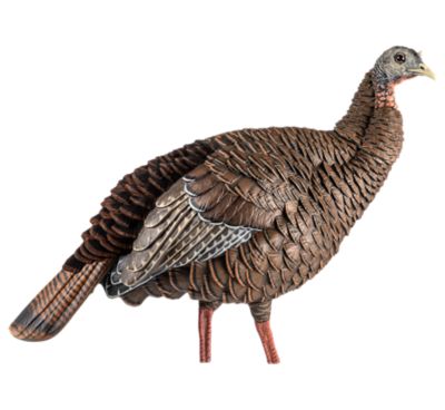 Avian X HDR Hen Turkey Decoy