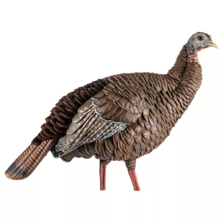 Avian X HDR Hen Turkey Decoy Turkey Decoys