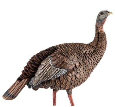 Image showing  HDR Hen Turkey Decoy