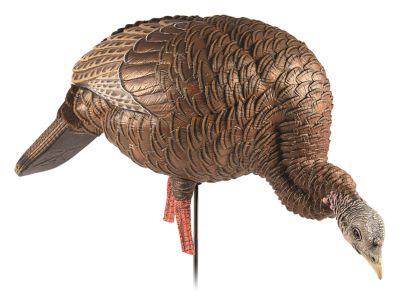 Avian X HDR Feeding Hen Turkey Decoy